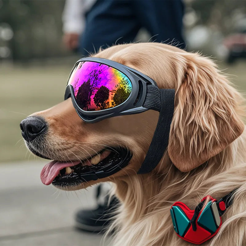 Pet Adjustable Goggles / Sunglasses/  Anti-UV