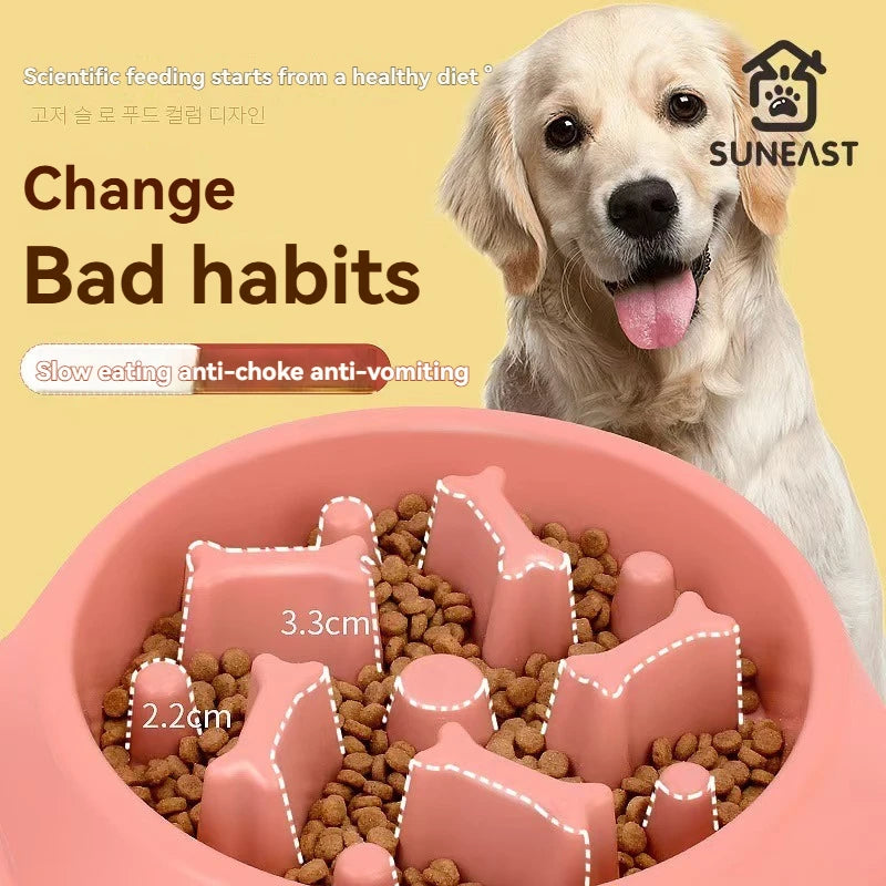 Pet Food Bowl