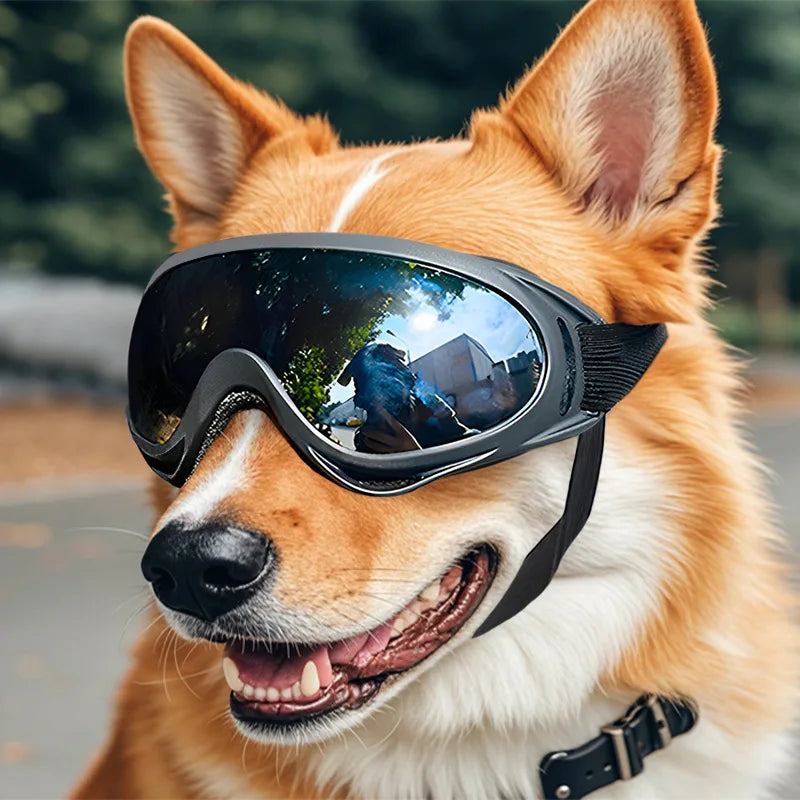 Pet Adjustable Goggles / Sunglasses/  Anti-UV