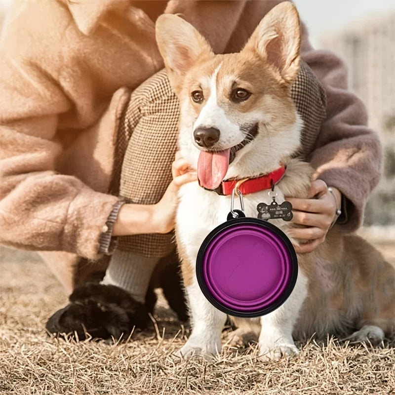Portable Pet Food Bowl