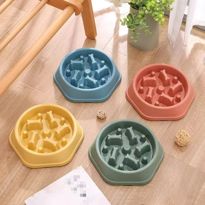 Pet Food Bowl